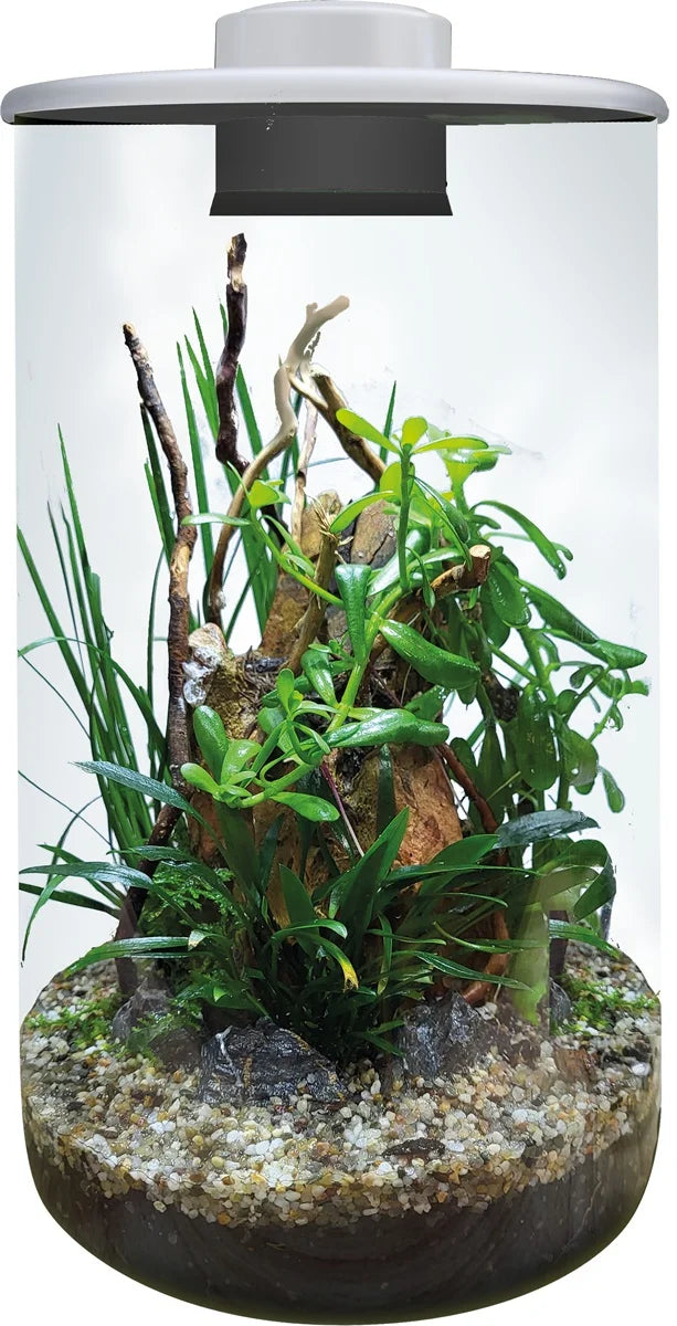 SF Bio art cylinder 285 noir