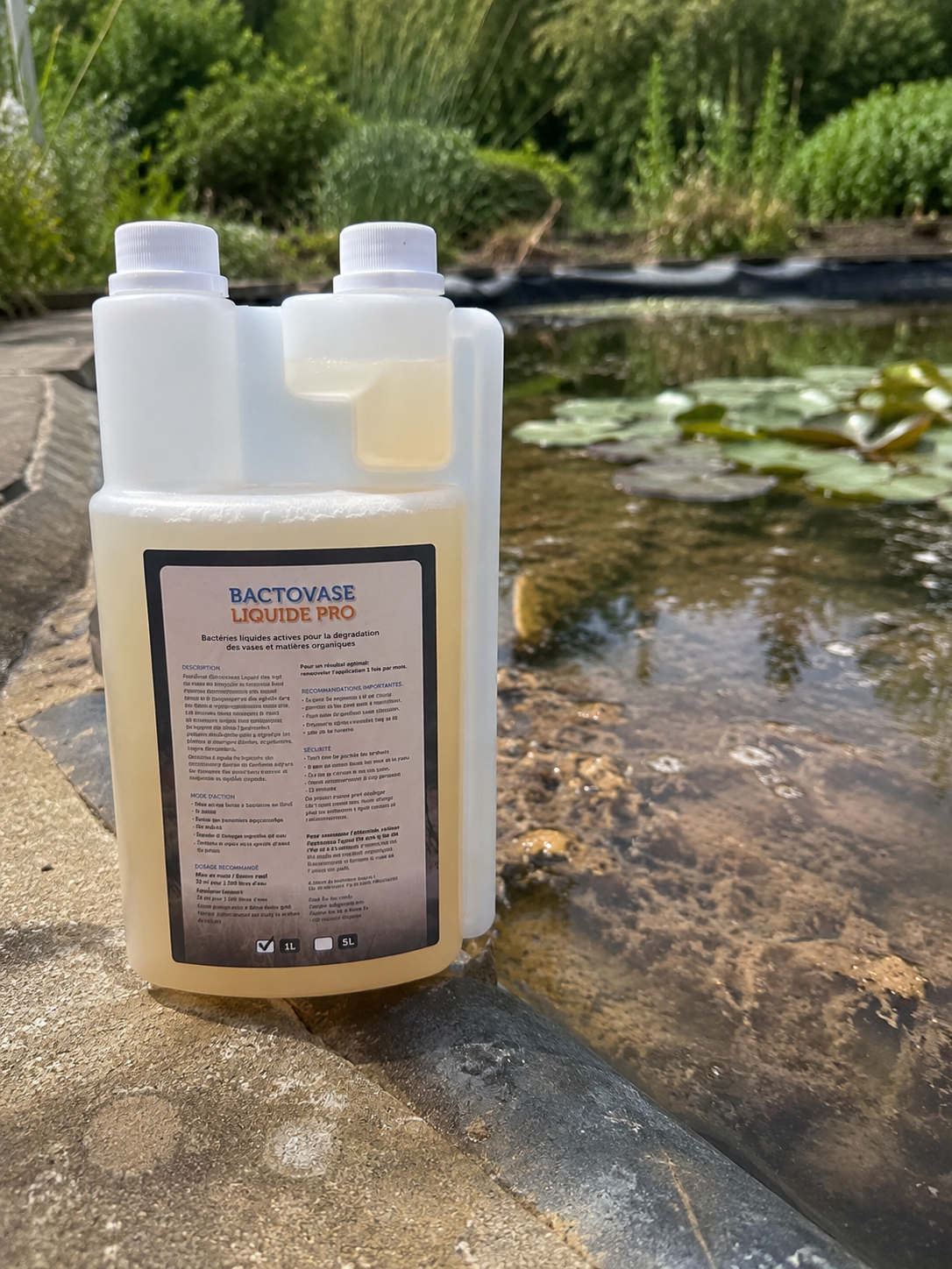 Aquipond Bactovase Liquide 1 L - Bactéries d'automne contre la vase