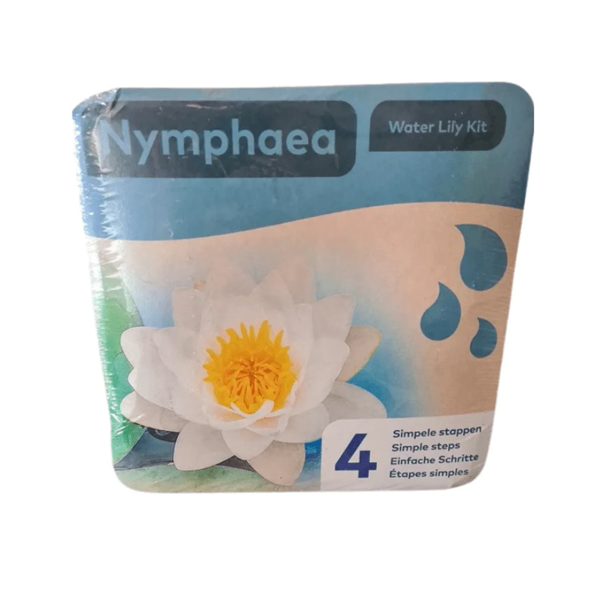 Aquipond Nénuphar blanc en kit sec – Nymphaea prêt à planter (panier inclus)