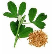 Biota Biota Earth 2kg - 100% Argile Montmorillonite 84402