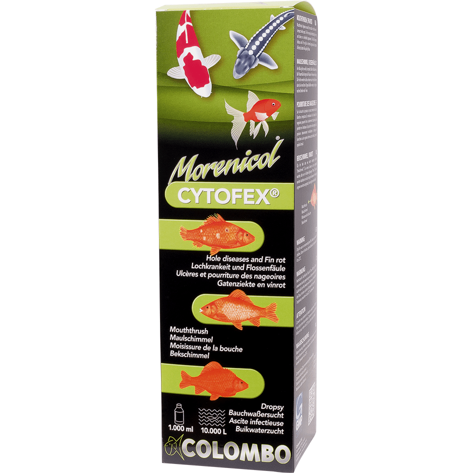 Colombo Traitements Cytofex 250ml/2500litres - Contre les infections bactériennes - Morenicol Colombo 8715897025600 05020320