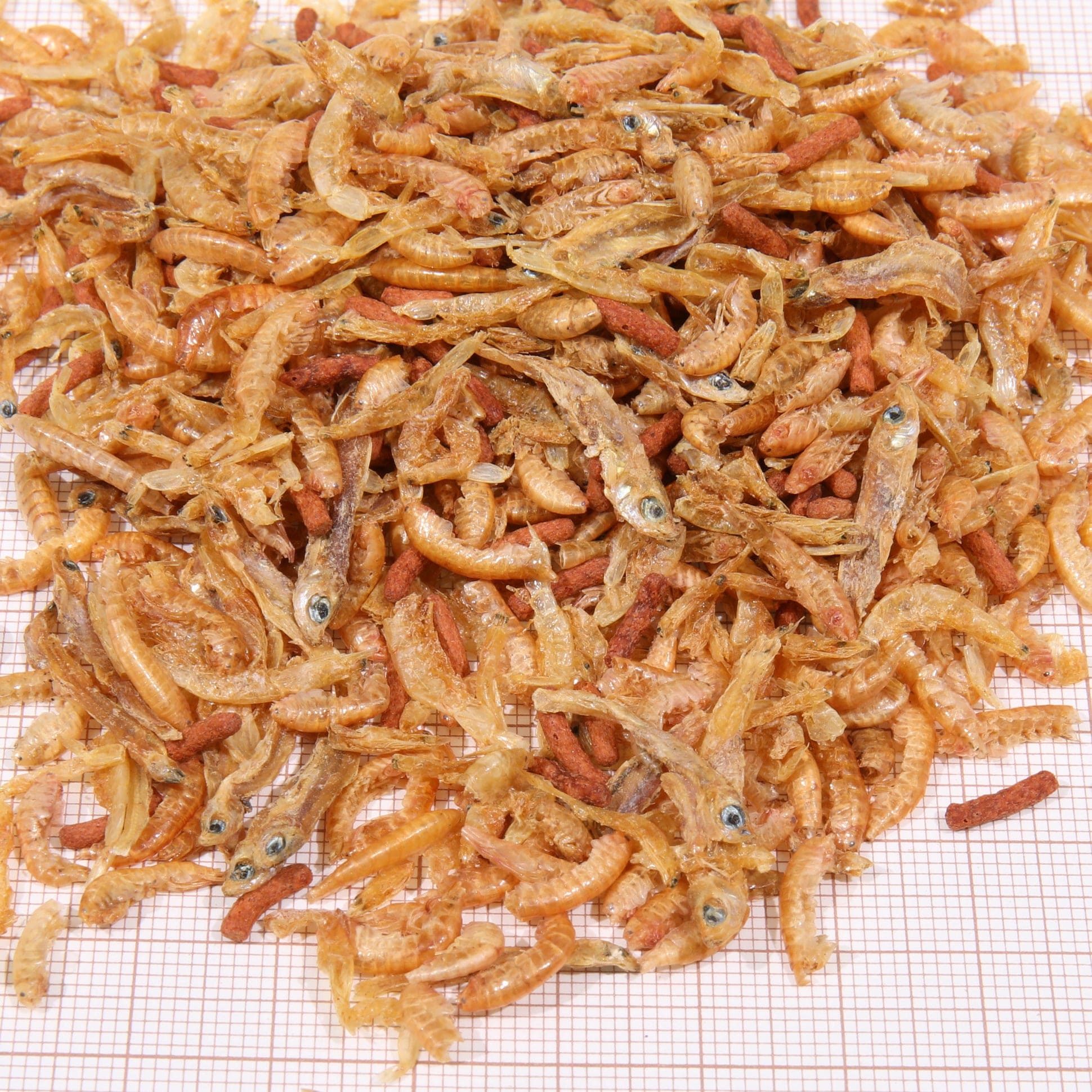 JBL ProTerra JBL Baby - Mélange alimentaire spécial pour jeunes tortues d’eau et cistudes 4014162723512 7235100