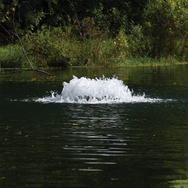 Aérateur de surface Kasco en pisciculture
