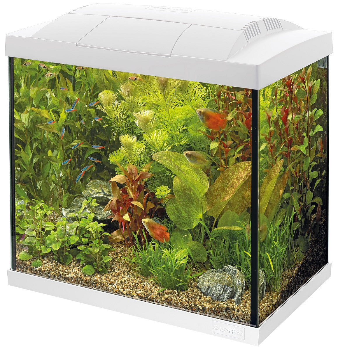 SuperFish START 50 40 L blanc — aquarium