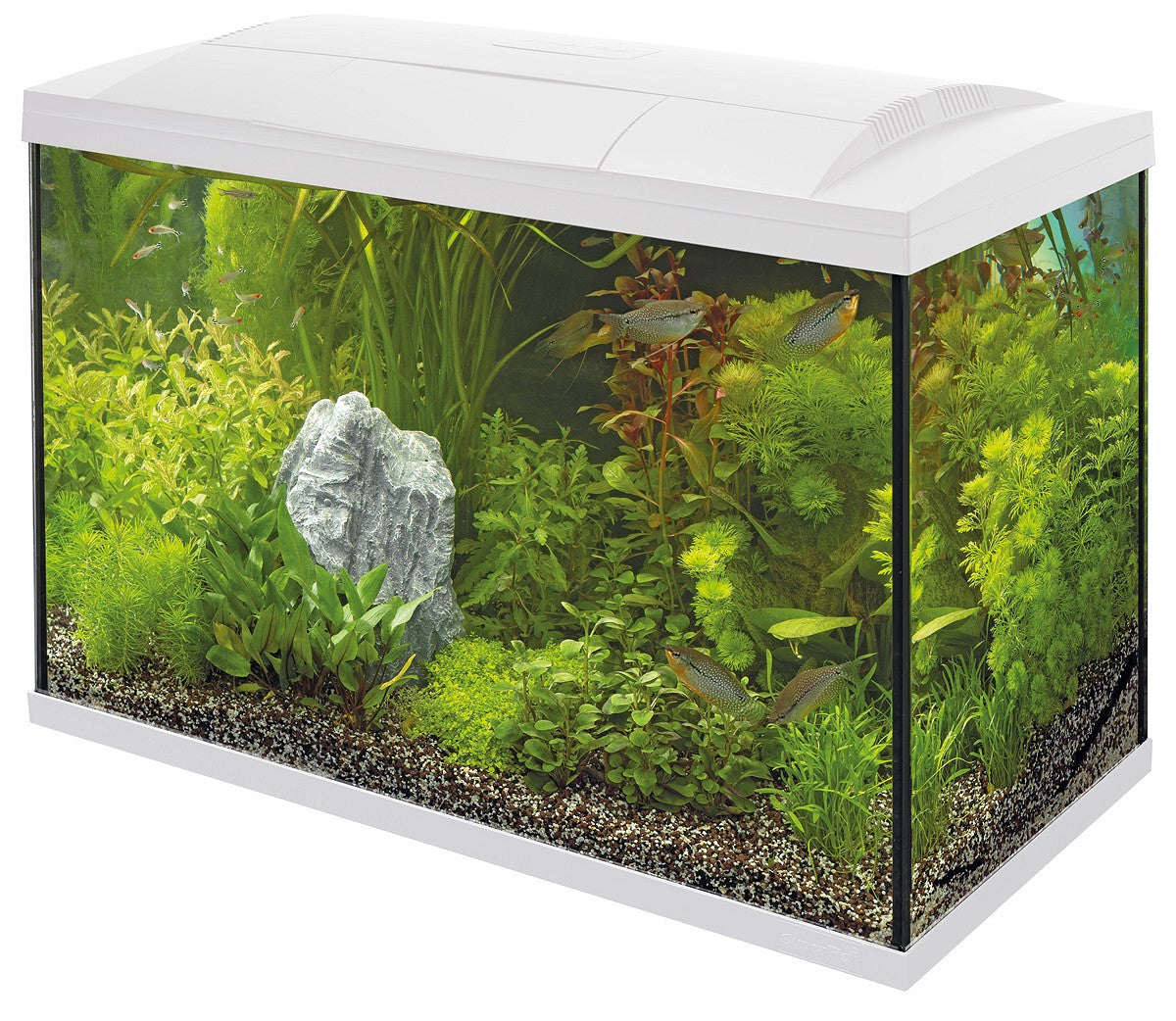 SuperFish START 150 146 L blanc — aquarium