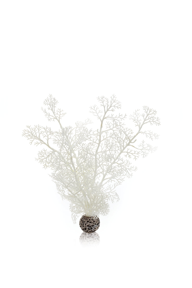 Corail décoratif biOrb M blanc — biOrb hoornkoraal M wit
