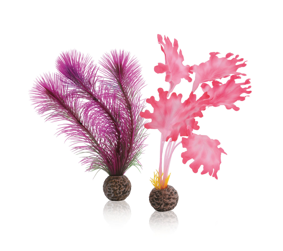 Lot d’algues décoratives biOrb S roses — biOrb zeewier set S roze