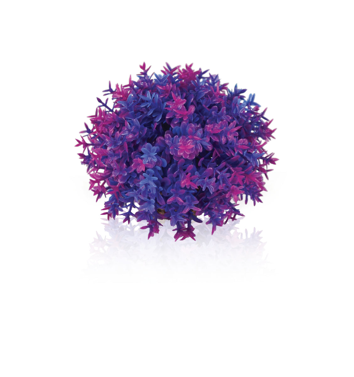 Boule fleurie biOrb violette — biOrb bloemenbal paars