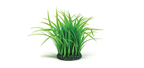 Anneau d’herbe décorative biOrb M vert — biOrb grasring M groen