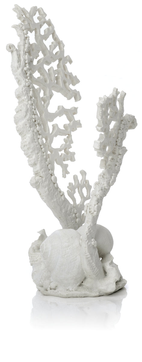 Ornement corail éventail biOrb M blanc — biOrb ventilatorkoraal ornament M wit
