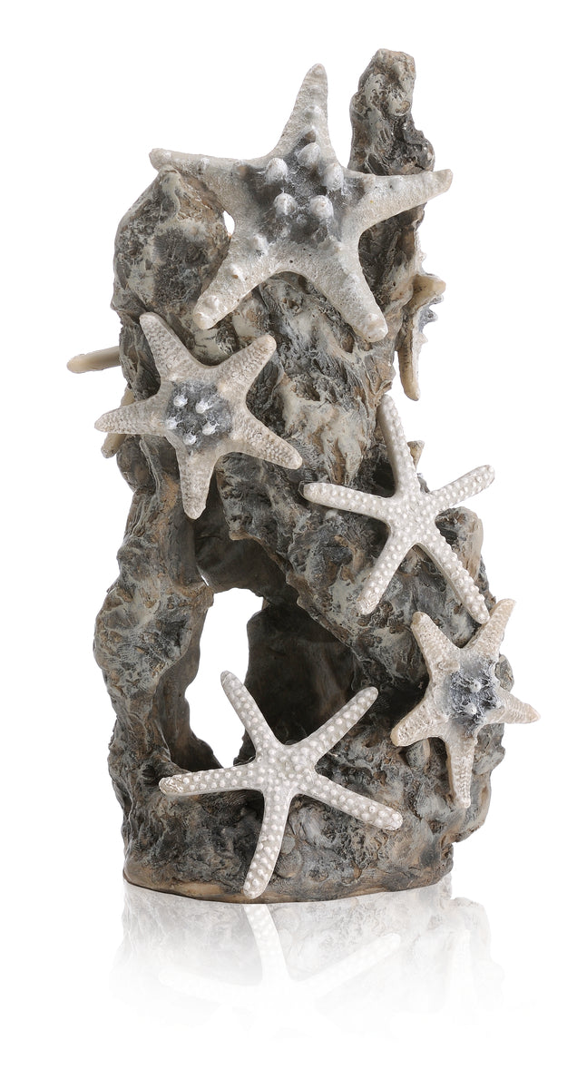 Ornement rocher aux étoiles de mer biOrb — biOrb zeester rots ornament