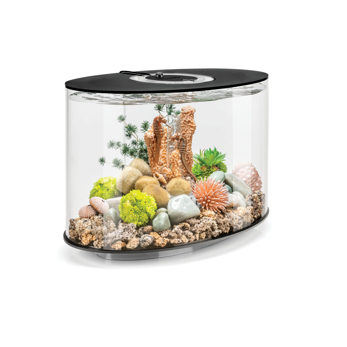 Aquarium biOrb LOOP 15 LED noir — biOrb LOOP 15 LED zwart