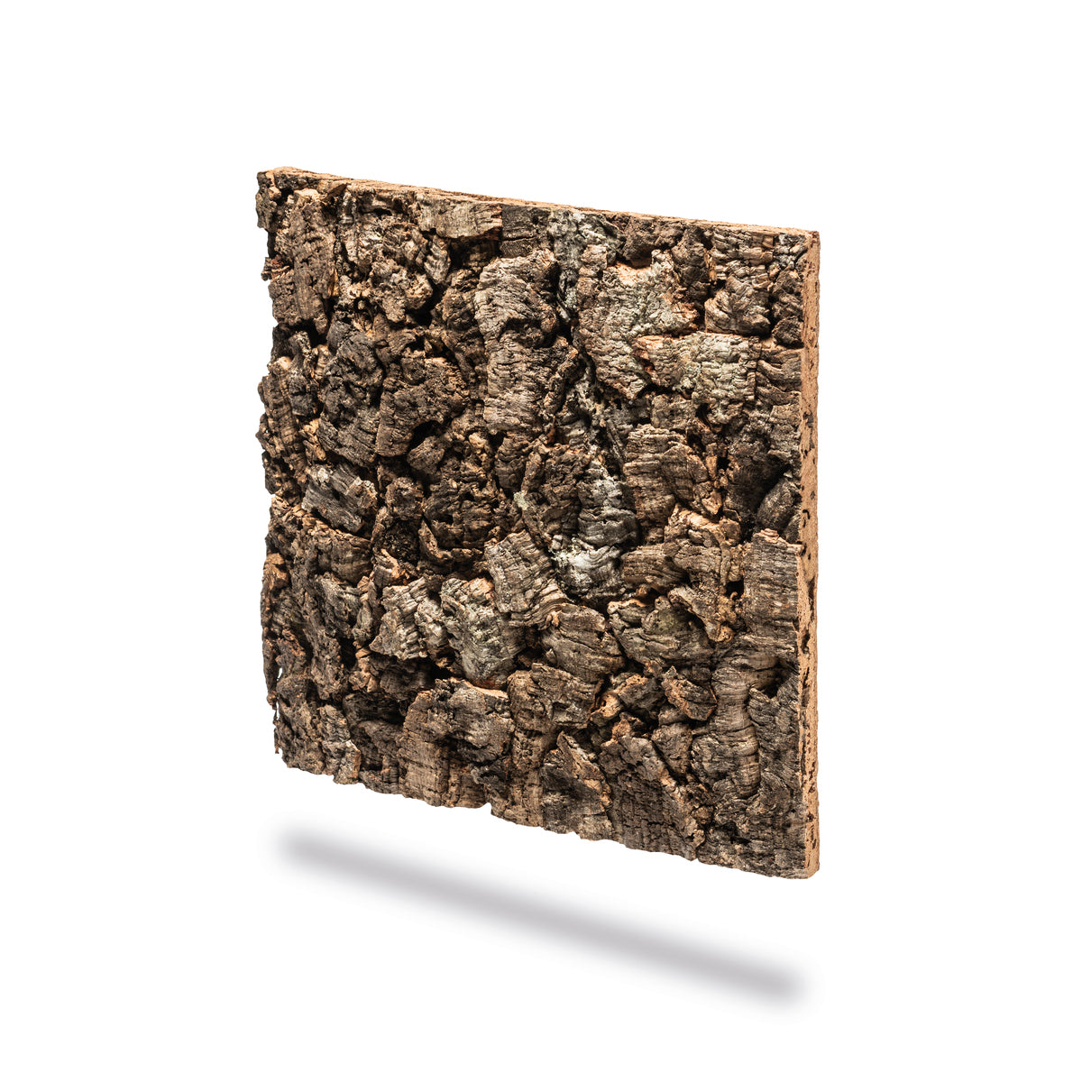 Fond de terrarium biOrb en liège, chêne foncé — biOrb rugwand donker eiken