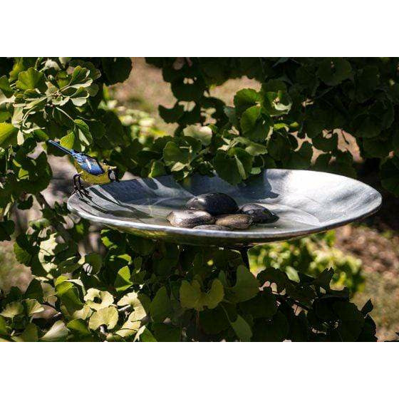 Arrosoir & Persil Bain sur pied & galet GM avec un oiseau offert - Accessoire décoratif pour oiseaux 20007