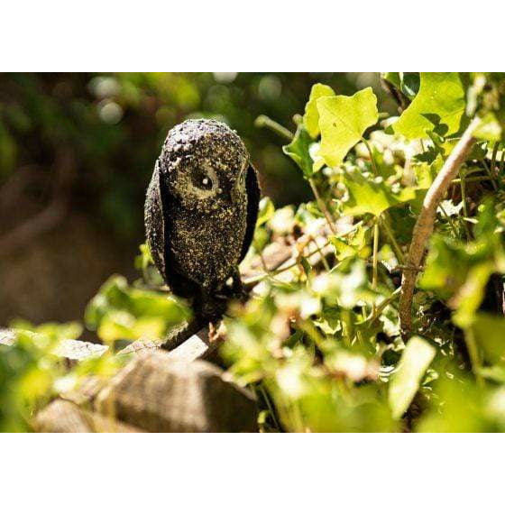 Arrosoir & Persil Bébé chouette - Oiseau décoratif en métal recyclé 12011