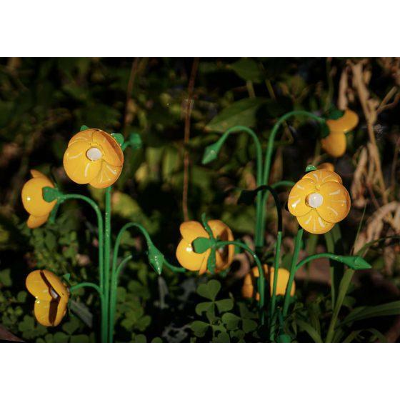 Arrosoir & Persil Boutons d’or - Végétal décoratif en métal recyclé 18043