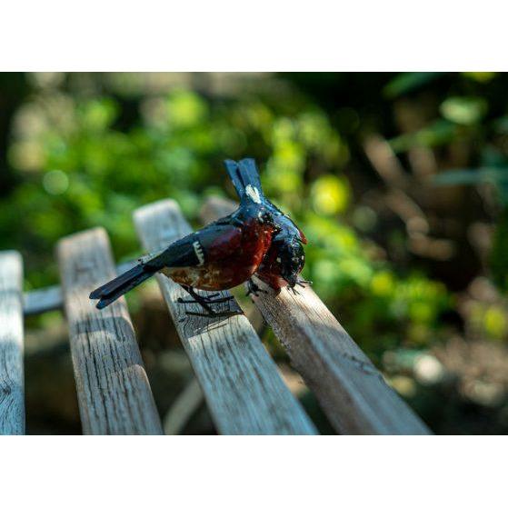 Arrosoir & Persil Bouvreuil – Couple - Oiseau décoratif en métal recyclé 11202