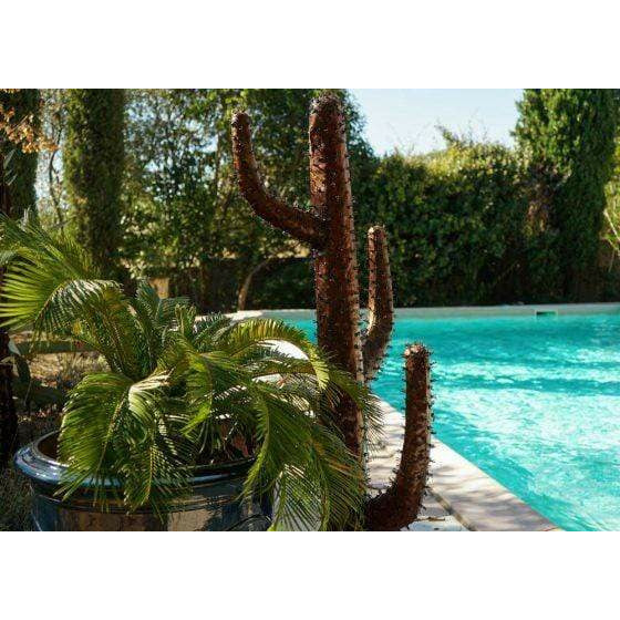 Arrosoir & Persil Cactus candélabre - Végétal décoratif en métal recyclé 18000
