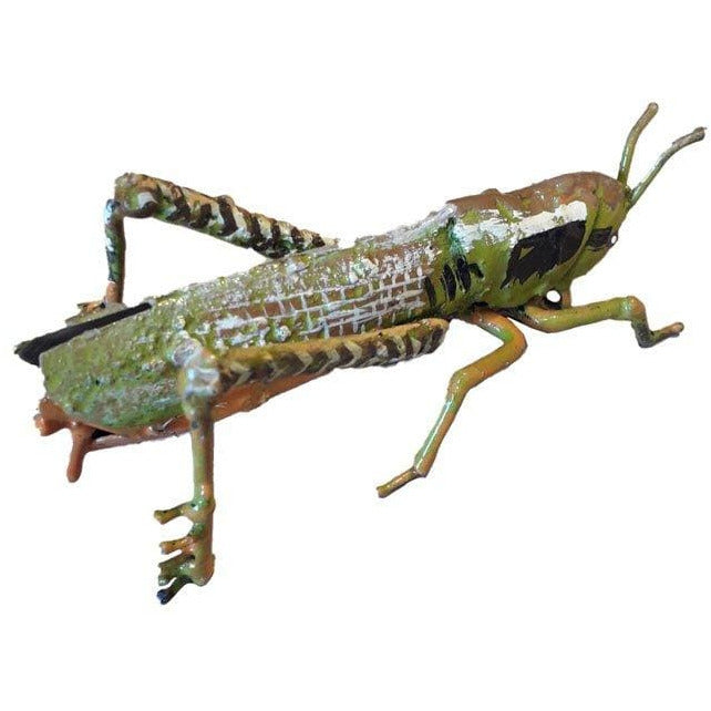 Arrosoir & Persil Criquet PM - Insecte décoratif en métal recyclé 19053