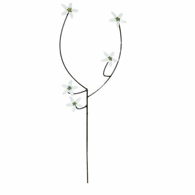 Arrosoir & Persil Fleur blanche - Végétal décoratif en métal recyclé 18008