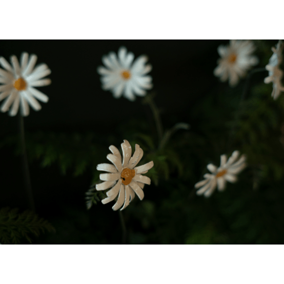 Arrosoir & Persil Marguerite - Végétal décoratif en métal recyclé 18041