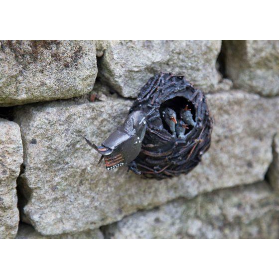Arrosoir & Persil Nid troglodyte - Oiseau décoratif en métal recyclé 11101
