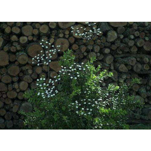 Arrosoir & Persil Ombellifère - Végétal décoratif en métal recyclé 18007