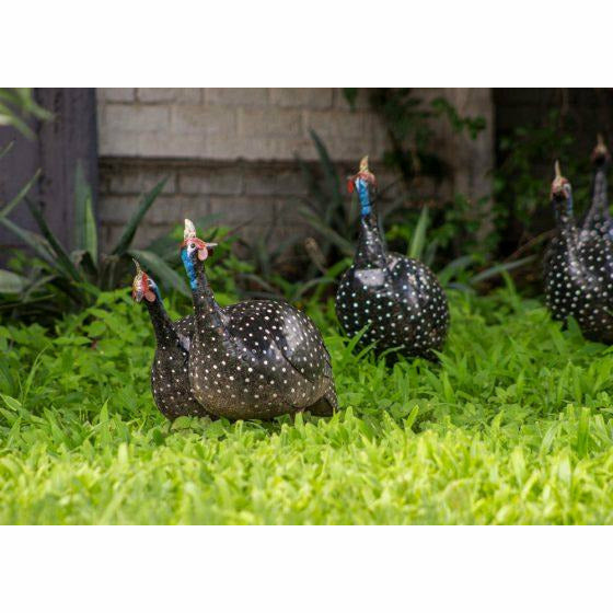 Arrosoir & Persil Pintade - Oiseau décoratif en métal recyclé 13007