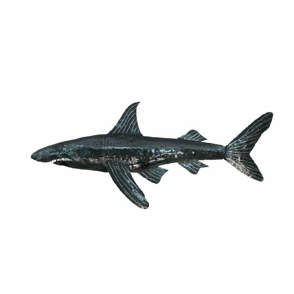 Arrosoir & Persil Requin - Poisson décoratif en métal recyclé 26018