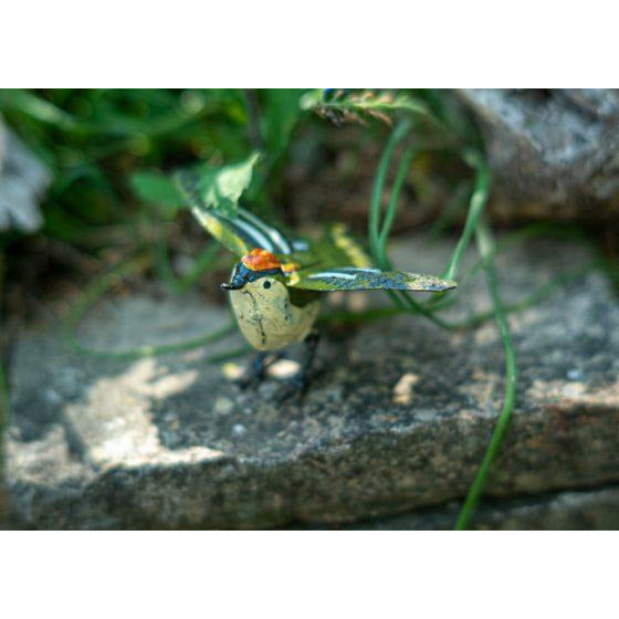 Arrosoir & Persil Roitelet ailes ouvertes - Oiseau décoratif en métal recyclé 11021