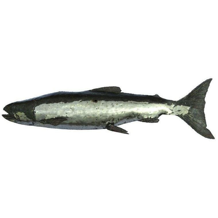Arrosoir & Persil Saumon - Poisson décoratif en métal recyclé 26102