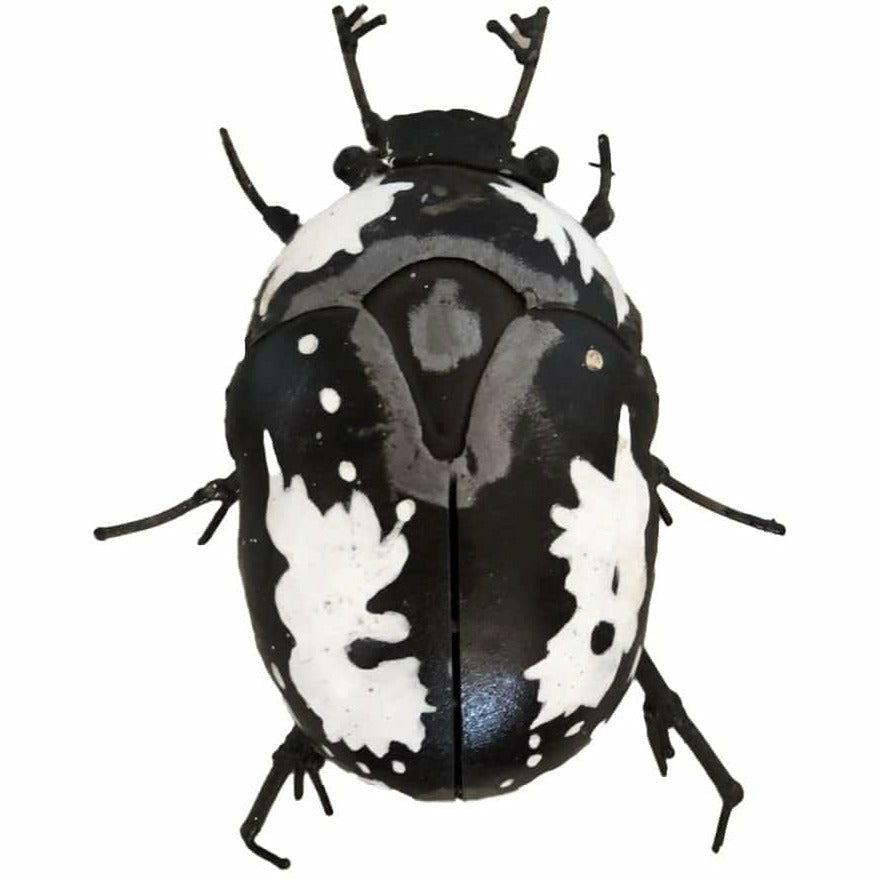 Arrosoir & Persil Scarabée Bébète l’argent - Insecte décoratif en métal recyclé 19065