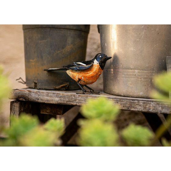 Arrosoir & Persil Tarier patre - Oiseau décoratif en métal recyclé 11005