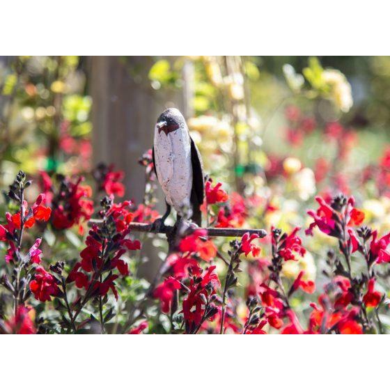 Arrosoir & Persil Tuteur 1 Hirondelle - Oiseau décoratif en métal recyclé 15004