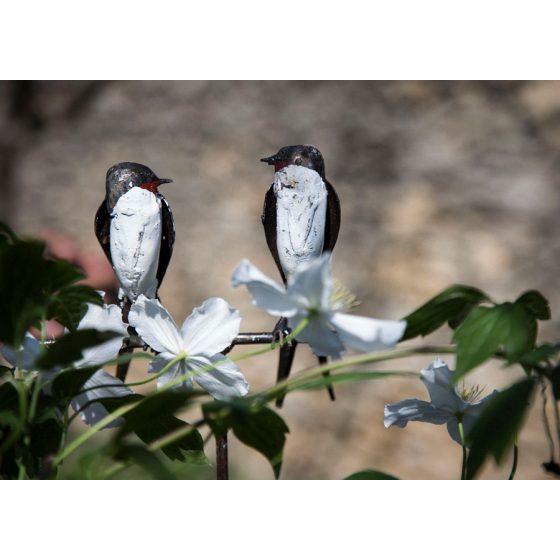 Arrosoir & Persil Tuteur 2 Hirondelles - Oiseau décoratif en métal recyclé 15006