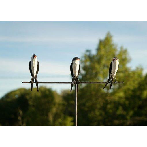 Arrosoir & Persil Tuteur 3 Hirondelles - Oiseau décoratif en métal recyclé 15007