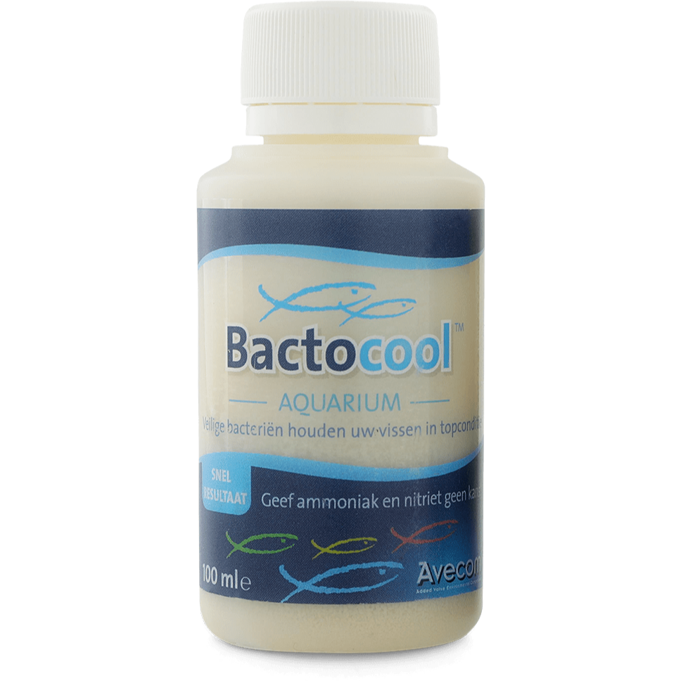 Bactocool Bactéries Bactocool Aquarium 100ML - Bactéries vivantes très puissantes 72530235 W435