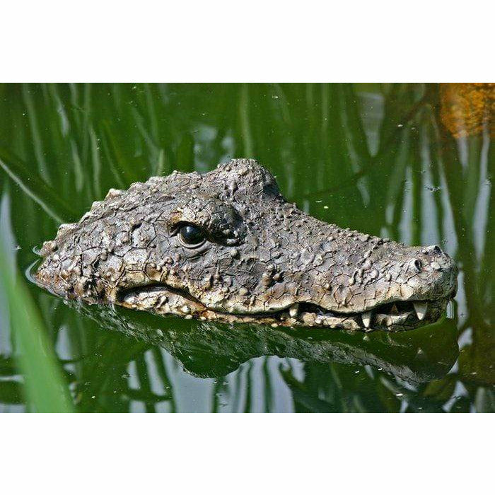 FOUDEBASSIN.COM Décoration CROCODILE FLOTTANT DÉCORATIF POUR ÉTANG 4020606729972 5274300