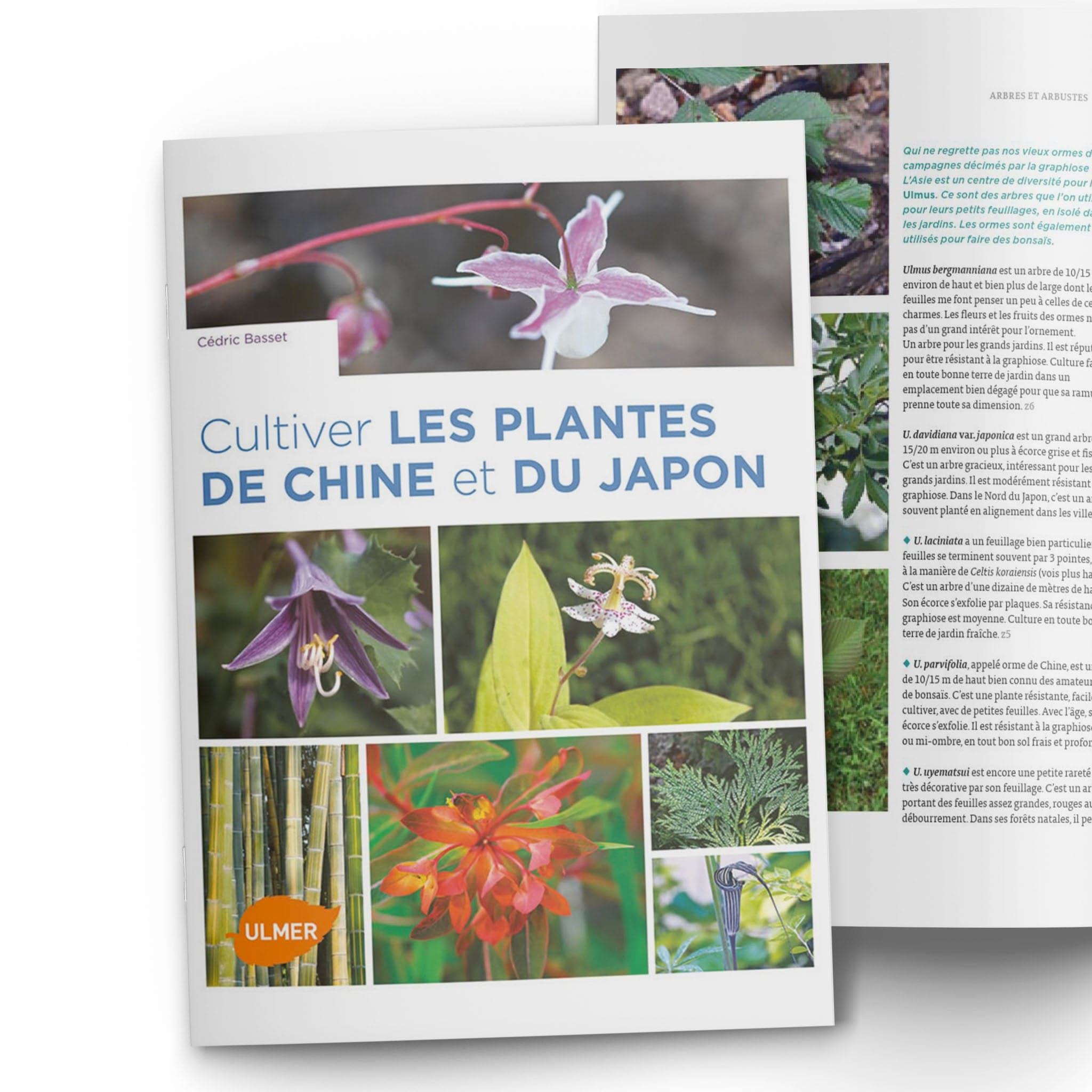 FOUDEBASSIN.COM CULTIVER LES PLANTES DE CHINE ET DU JAPON 9782841385324 9782841385324