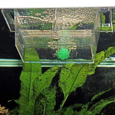 JBL Without Descri JBL BabyHome proAir 4014162643155 6431500