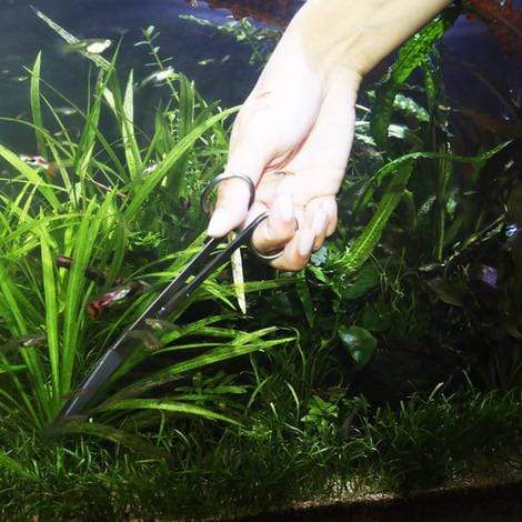 JBL Without Descri JBL ProScape Tool S 30 curved 4014162615442 6154400