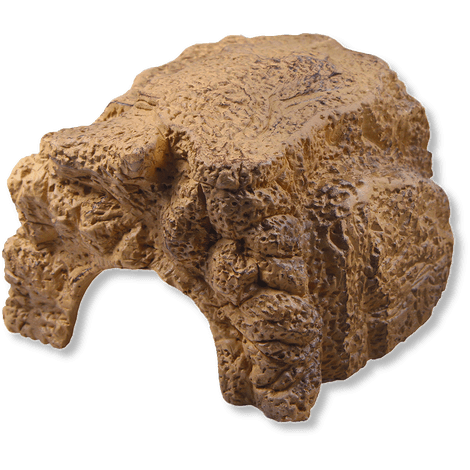 JBL Without Descri JBL ReptilCava SAND S 4014162710963 7109600