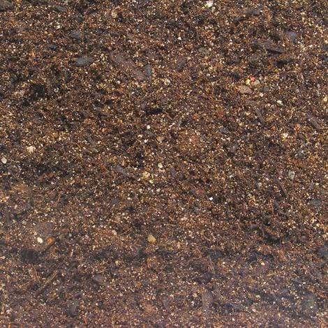 JBL Without Descri JBL TerraBasis 5l 4014162710109 7101000