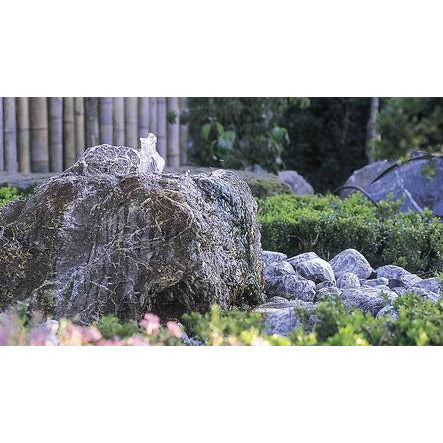 Oase Living Water Pompes pour jeux d'eau Aquarius Universal Classic 440i - Pompe pour petits jeux d'eau - Oase 4010052366739 36673