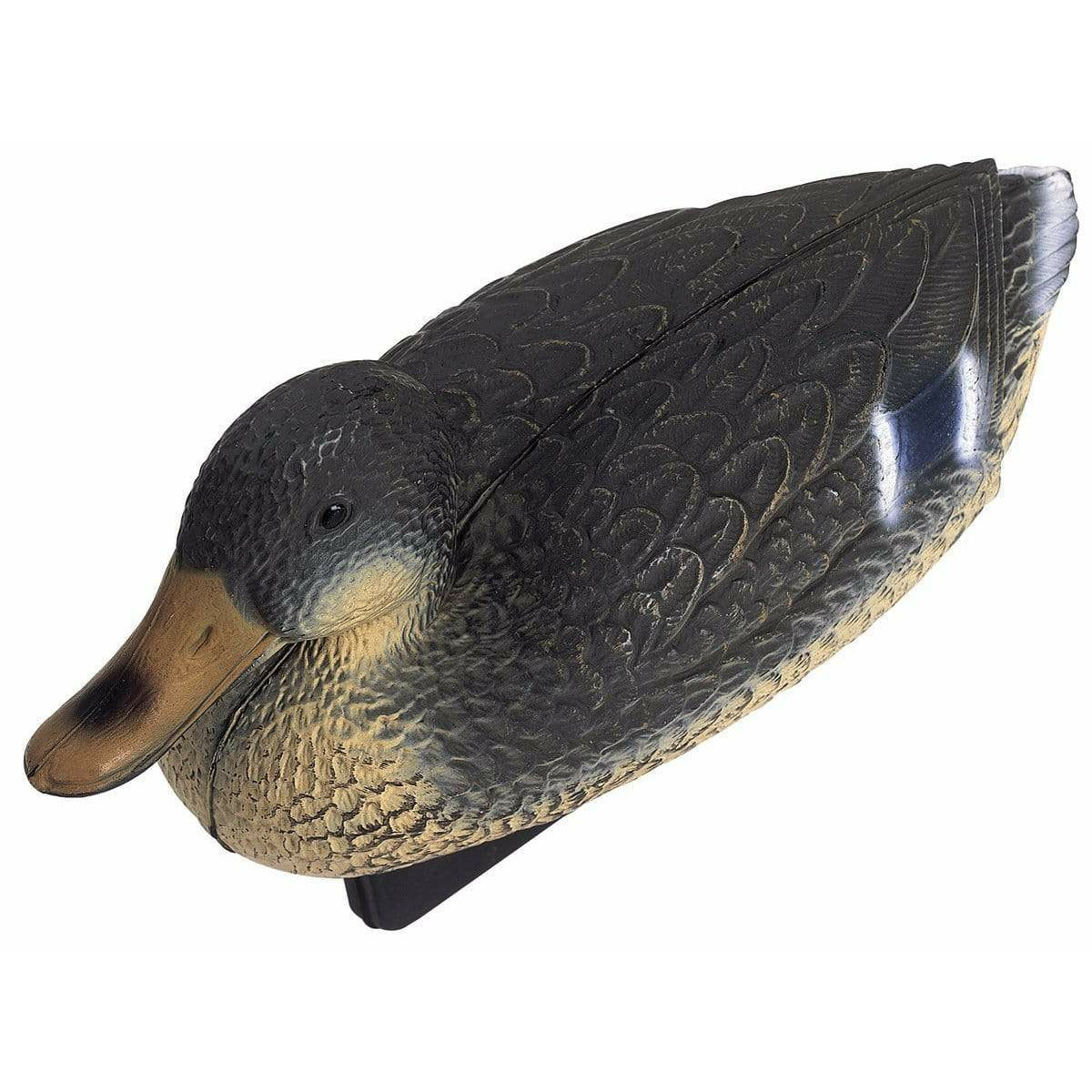 Oase Living Water Figurines Figurine bassin Canard colvert femelle 4010052368658 36865