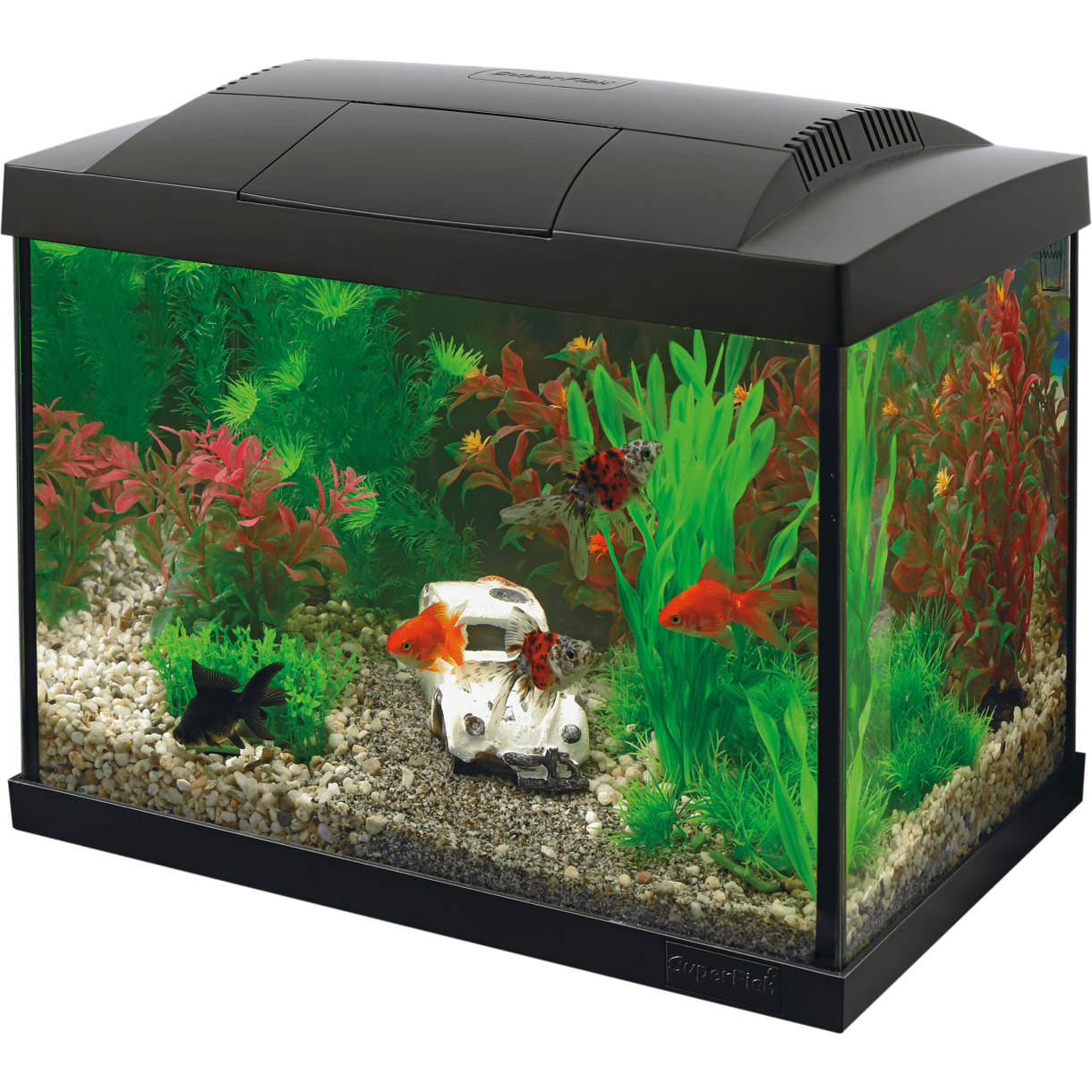 Superfish Aquariums Aquarium Start 20 Goldfish Kit Noir - 20L - Superfish 8715897190766 A4050267