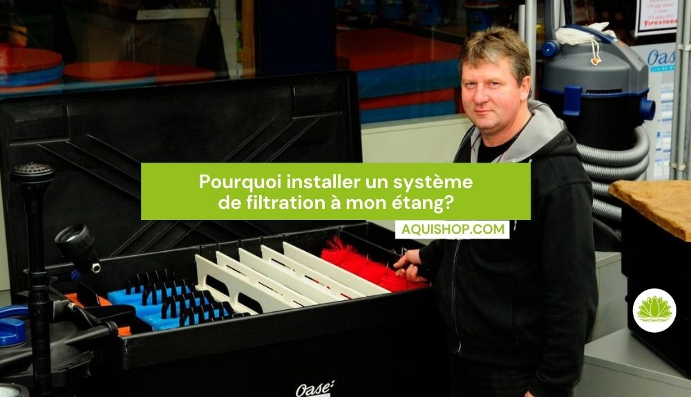 Pourquoi installer un système de filtration à mon étang?