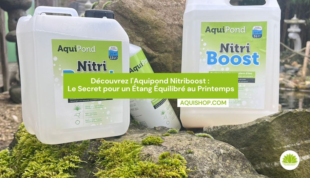 Découvrez l'Aquipond Nitriboost : Le Secret pour un Étang Équilibré au Printemps