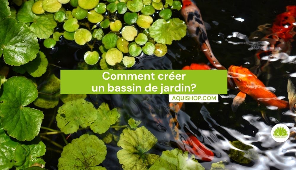 Comment créer un bassin de jardin?