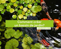 Comment créer un bassin de jardin?